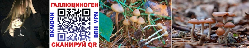 Псилоцибиновые грибы Magic Shrooms  Купить где  Киров 